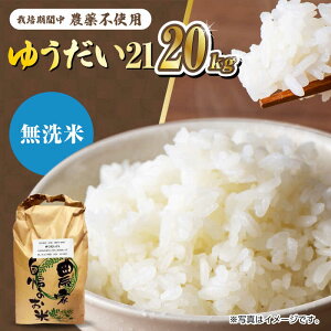 yӂ邳Ɣ[ŁzyV s\z͔|Ԓ_sgp ߘa7NY ꌧY䂤21āiāj20kg/߃mk_[UDL029]