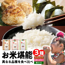 【ふるさと納税】武雄米食べ比べ3種セット（さがびより・夢しずく・棚田米 3合×3種）白米 /株式会社 y's company（utsu和ya）[UDX014] 米 お米 白米 ブランド米