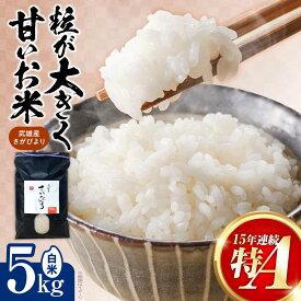 【ふるさと納税】15年連続特A評価 武雄市産 さがびより 白米 5kg /株式会社 y's company（utsu和ya）[UDX016] 米 お米 白米 ブランド米