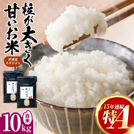 【ふるさと納税】15年連続特A評価 武雄市産 さがびより 白米 10kg（5kg×2袋） /株式会社 y's company（utsu和ya）[UDX017] 米 お米 白米 ブランド米