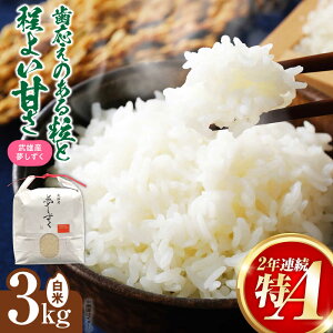 yӂ邳Ɣ[ŁzA]l YsY   3kg / y's companyiutsuayaj[UDX018]    uh