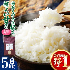 【ふるさと納税】特A評価獲得 武雄市産 夢しずく 白米 5kg /株式会社 y's company（utsu和ya）[UDX019] 米 お米 白米 ブランド米