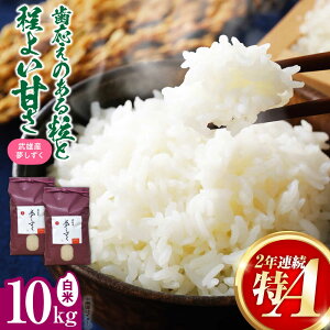 yӂ邳Ɣ[ŁzA]l YsY   10kgi5kg×2܁j / y's companyiutsuayaj[UDX020]    uh