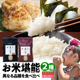 【ふるさと納税】特A評価獲得 武雄市産 さがびより・夢しずく 白米 2種食べ比べ 10kg（5kg×2種）/株式会社 y’s company（utsu和ya）[UDX021] 米 お米 白米 ブランド米