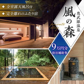 【ふるさと納税】奥武雄温泉 風の森　宿泊補助券 9万円分 /奥武雄温泉 風の森[UEC005] 宿泊券 ギフト 温泉 宿泊ギフト券 ペア 宿泊券 武雄温泉 サウナ
