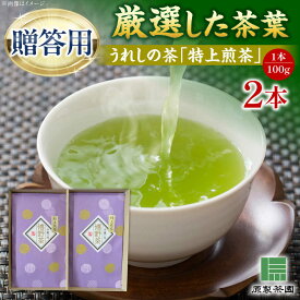 【ふるさと納税】うれしの茶 特上煎茶2本セット /有限会社 原製茶園[UEJ003] お茶 茶 嬉野茶 茶葉 緑茶 日本茶 煎茶 ギフト 贈答 贈り物