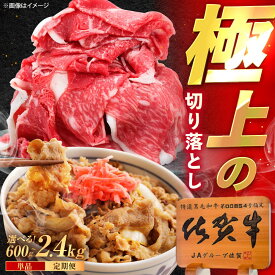 【ふるさと納税】【選べる内容量】佐賀牛 切り落とし 600g / 1.2kg（600g×2p）/ 2.4kg（600g×4p） /MKミート武雄[UEM030] 佐賀牛 切り落とし 大容量 1kg 訳あり すき焼き 牛丼 小分け 冷凍