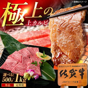 yӂ邳Ɣ[ŁzyIׂeʁzꋍ Jr ēp 500g / 1kgi500g×2pj /MK~[gY[UEM049]