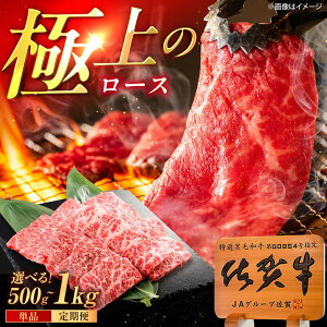 yӂ邳Ɣ[ŁzyIׂeʁzꋍ [X ēp 500g / 1kgi500g×2pj /MK~[gY[UEM054]ꋍ [X ēp a јa BBQ o[xL[  ~ A5N ē L