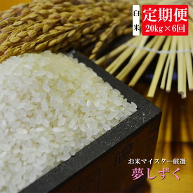 楽天市場 ふるさと納税 米 定期便 10kgの通販
