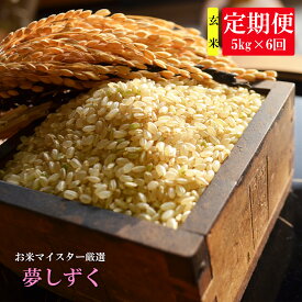 楽天市場 ふるさと納税 玄米 定期便の通販