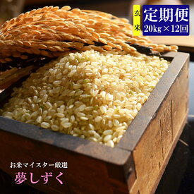 楽天市場 ふるさと納税 お米 kgの通販