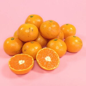みかん 10kg 送料無料の人気商品 通販 価格比較 価格 Com みかん 10kg 送料無料の人気商品 通販 価格比較 価格 Com