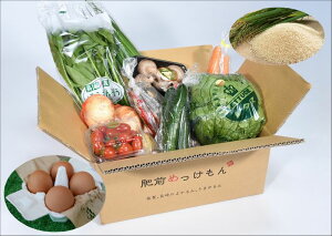 ふるさと納税 果物 詰め合わせの人気商品 通販 価格比較 価格 Com