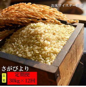 ふるさと納税 米 玄米の人気商品 通販 価格比較 価格 Com