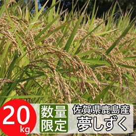 楽天市場 ふるさと納税 米kgの通販