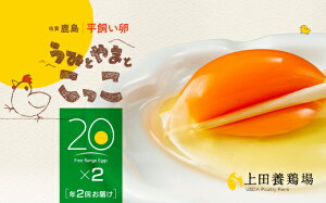 卵 箱の人気商品 通販 価格比較 価格 Com