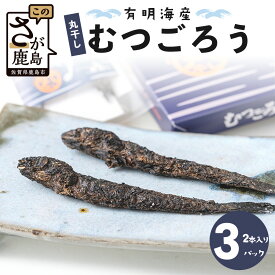 【ふるさと納税】丸干しむつごろう 2本入り×3袋 むつごろう ムツゴロウ おやつ おつまみ 温め不要 調理不要 有明海産 佐賀県 鹿島市 送料無料 A-29