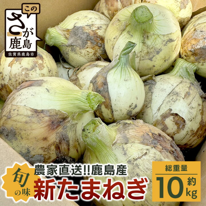 楽天市場】【ふるさと納税】【先行予約】【高評価4.8以上】【2025年4月 
