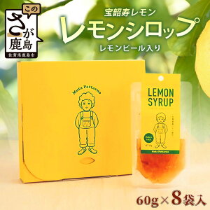 【ふるさと納税】希少な宝韶寿レモン使用|無添加レモンシロップ(ピール入り)60g×8袋|栄養士監修レシピ付き|上質な国産柑橘の味わい|(保存料 ・ 合成着色料 ・ 増粘多糖類 不使用