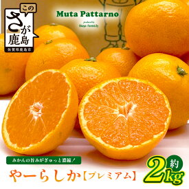 【ふるさと納税】【先行予約】【発送は2026年10月中旬から11月上旬ごろ】やーらしかみかん”プレミアム”約2kg（箱込み重量）｜【数量限定】小粒サイズ ご家庭用｜一口で食べられる濃縮旨み ｜生産者直送 国産 佐賀県産 ミカン 蜜柑 果物 フルーツ 送料無料 A-224