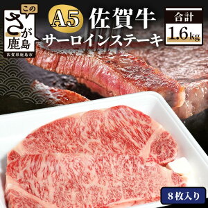 yӂ邳Ɣ[Łzō ꋍ A5 T[C Xe[Lp 400g (2)`1,600g(8) ŒZ2T | ӂ邳Ɣ[   Xe[L Xe[L T[CXe[L јa a uh 