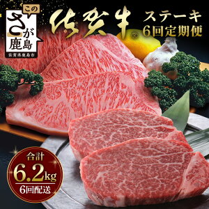 yӂ邳Ɣ[Łzō ꋍA5N ҌՁId5.7L{500g̏qXe[LƃT[CXe[L y6ցz Iꋍ[XԂԗp500gt  Y 