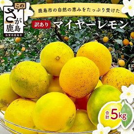 【ふるさと納税】【先行予約】【訳あり】マイヤーレモン 5kg サイズ混合＼産地より農家直送／佐賀県 鹿島市産 果物 酸味 美味しい お酒 生絞り 果汁 料理 お菓子 家庭用 生活応援 オススメ【9月中旬頃より配送】A-191