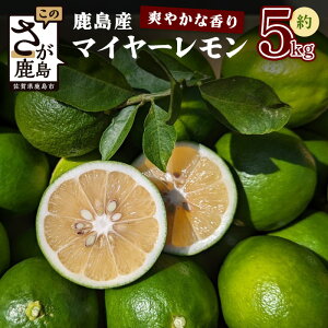 yӂ邳Ɣ[ŁzyYnzy_ƒzy\tzy9{zzꌧsY }C[ 荂i VN tbV 5kg TCY@B-726
