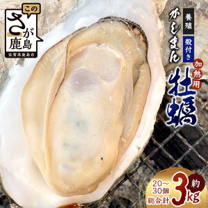 yӂ邳Ɣ[Łzys\zLCY ݂̂yi{BEMpjkt 3kg | Sy-1Ov܎ | YҒy11{甭\zVNEEZȏĂy