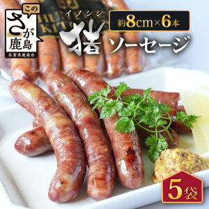 yӂ邳Ɣ[ŁzꌧsY̒\[Z[Wi8cm×6{j5 C-126 sh n[u K[bN ubNybp[ 4 \[Z[WZbg WrG CmVV 