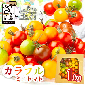 yӂ邳Ɣ[Łzys\zyb܎܁z i񂿂̃Jt~jg}g 1kgi5Fjy1zJnzL@엿Ew엿sgpbYҒ  Ƃ܂ T_  