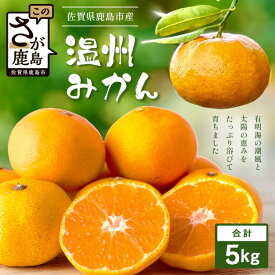 【ふるさと納税】温州みかん 5kg【数量限定】有明海の潮風で育った鹿島産みかん フレッシュ 柑橘 果物 フルーツ オレンジ 注目 佐賀県鹿島市 人気 送料無料 B-841