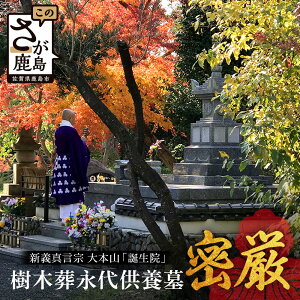【ふるさと納税】樹木葬永代供養墓「密厳」 佐賀県 鹿島市 鹿島 誕生院 お寺 寺院 樹木葬 永代供養 宗教 宗派 檀家 墓じまい 管理費不要 V-61