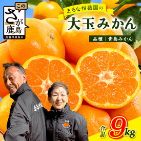 【ふるさと納税】まるな 柑橘園の 大玉 みかん 約9kg サイズ 3L (直径9cm程度)以上 【2026年1月以降配送予定】青島みかん ミカン 蜜柑 佐賀県 鹿島市産 送料無料 B-262