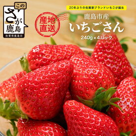 【ふるさと納税】いちごさん 240g×4P★先行予約★【生産者直送】ふるさと納税 いちご イチゴ 苺 果物 フルーツ 旬 贈答用 お取り寄せ ギフト ふるさと 人気 佐賀県 鹿島市 送料無料 【2026年2月頃～4月頃の発送予定】B-891