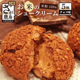 【ふるさと納税】お米のシュークリーム チョコ 5個 米粉使用 小麦粉不使用 お菓子 スイーツ 洋菓子 冷凍 ひのでや グルテンフリー AA-26