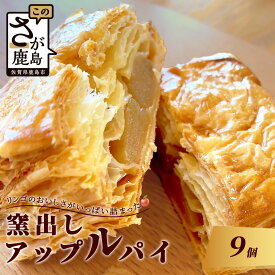【ふるさと納税】窯出し アップルパイ 9個入り 焼き菓子 洋菓子 お菓子 個包装 冷凍 ひのでや ご当地 佐賀県 鹿島市 送料無料 B-413