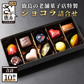 【ふるさと納税】【匠の技】てづくり ショコラ 10個 菓子工房 ひのでや 詰め合わせセット【シェフのこだわりと技術が詰まったチョコレート】父の日 母の日 バレンタイン ホワイトデー プレゼント 贈答 ギフト お土産 送料無料 B-561
