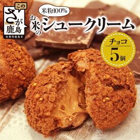 【ふるさと納税】【グルテンフリー】米粉シュークリーム チョコ 5個セット｜小麦粉不使用 スイーツ 洋菓子 お菓子 冷凍 米粉スイーツ 人気 お取り寄せ ギフトにも◎ 老舗菓子店ひのでや 佐賀県鹿島市 送料無料 AA-26