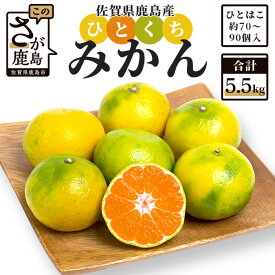 【ふるさと納税】 【先行予約】 鹿島 平倉果樹園のひとくちみかん 約5.5kg 小玉 みかん ミカン 蜜柑 果物 フルーツ 5cm前後 佐賀県 鹿島市 送料無料【2024年10月中旬～11月上旬頃お届け予定】 AA-37