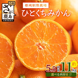 【ふるさと納税】「12月頃～12月末までのお届け」根域制限栽培一口みかん【1箱 約5.5kg】 or 【2箱 約11kg】| ふるさと納税 みかん ミカン 蜜柑 果物 フルーツ 果実 根域制限栽培 贈答用 お取り寄せ ギフト 国産 佐賀県産 佐賀県 鹿島市 ふるさと 人気 送料無料 A-178