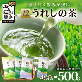 【ふるさと納税】期間限定増量【ギフトにおすすめ】 佐賀県産 うれしの茶 (やぶきた茶) 100g×4本【合計400g】美味しいお茶を贈り物に B-570
