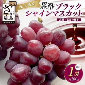【ふるさと納税】【特大】希少 ブラック シャインマスカット 富士の輝き 1房 約700g 【先行予約】【2025年8月下旬〜9月下旬発送予定】高糖度 ブラックシャインマスカット マスカット フルーツ 果物 ぶどう 新鮮 生産者直送 葡萄 佐賀県 鹿島市 送料無料 C-156