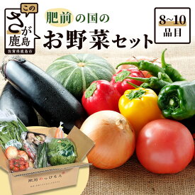 【ふるさと納税】肥前の国のお野菜詰め合わせ セット (定番お野菜8品目程度、季節ごとのお野菜2品目程度) 野菜 詰め合わせ 8〜10品目 佐賀県 鹿島市 佐賀 グルメ 冷蔵 春 夏 秋 冬 旬 送料無料 A-4