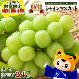 【ふるさと納税】【特別寄付額10000円→9000円】先行予約 シャインマスカット 約650g~2.4kg（1〜6房）佐賀県産 | 2026年8月上旬以降発送 ふるさと納税 ご家庭用 シャインマスカット マスカット ぶどう 葡萄 果物 フルーツ くだもの スイーツ 佐賀県鹿島市 送料無料 B-658