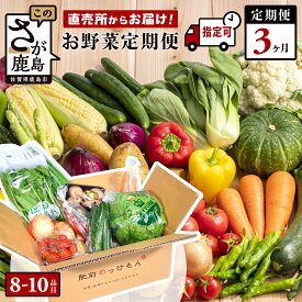 【ふるさと納税】★レビューキャンペーン【野菜ソムリエ選定】【曜日・時間帯指定可能】肥前の国 野菜 定期便 3回 計8〜10品目 定番野菜中心 | ふるさと納税 野菜 定期便 3ヶ月 お試し セット 詰め合わせ 国産 佐賀県 鹿島市 ふるさと 人気 送料無料 D-77