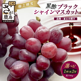 【ふるさと納税】《選べる》ブラックシャインマスカット 富士の輝き 特大 1〜2房 【先行予約】【2026年8月下旬〜9月下旬発送予定】 高糖度 1房700g以上 糖度20～25度 甘くてびっくり！ マスカット フルーツ 果物 ぶどう 新鮮 生産者直送 葡萄 佐賀県 鹿島市 送料無料 C-156