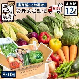 【ふるさと納税】★レビューキャンペーン【野菜ソムリエ選定】【曜日・時間帯指定可能】肥前の国 野菜 定期便 12回 計8〜10品目 定番野菜中心 | ふるさと納税 野菜 定期便 12ヶ月 セット 詰め合わせ 国産 佐賀県 鹿島市 ふるさと 人気 送料無料 J-14