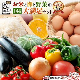 【ふるさと納税】定期便【曜日・時間指定可】 1〜12回 約14品 肥前の国 お楽しみ大満足セット 1回 3回 6回 12回 | 野菜定期便 フルーツ 果物 米 お米 たまご 詰め合わせ 旬 新鮮 産地直送 大容量 佐賀県 鹿島市 n-9